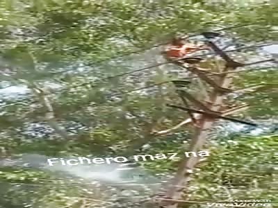 Man Gets Electrocuted and Falls Head First to His Death