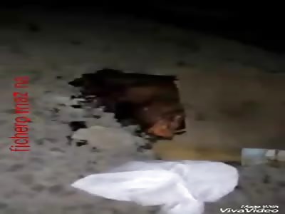 body is found in pieces