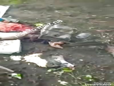 FATAL ACCIDENT: bodies cut to pieces on the road due to automobile accident