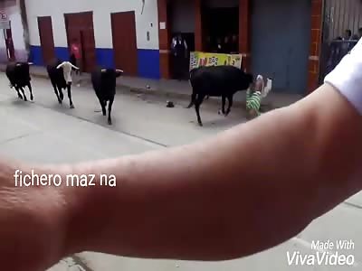 Old Man is Knocked out and Brutally Gored by giant bull