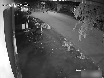 WTF: motorcyclists kill the dog and take it to prepare it in barbecue