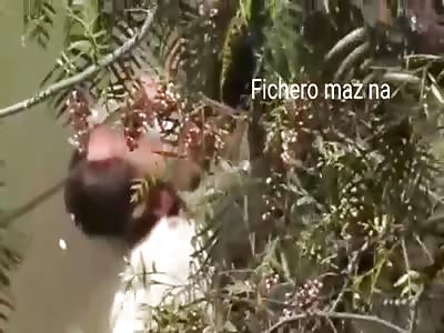 INERT BODY IS RESCUED FROM THE RIVER