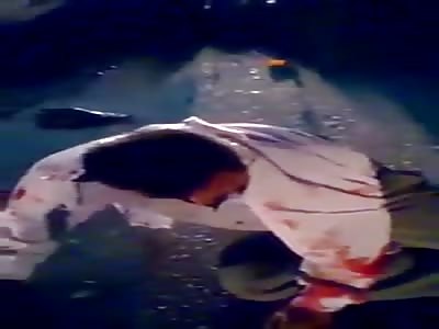 BEAUTIFUL AUTOMOBILE ACCIDENT