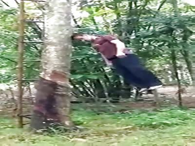 LOWERING THE HUMAN PIÃ‘ATA