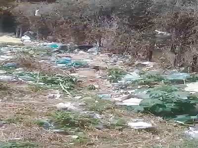 BODY OF MAN FLOATING IN WATER WITH GARBAGE