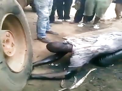 EXEMPLARY PUNISHMENT