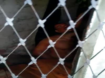 Husband Commits Suicide after Killing Wife