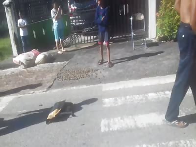 DEAD MAN UNDER TRUCK