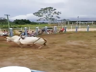16 Year Old Bull Rider Dies from the Impact of Being Thrown off a Bull