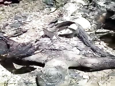 Cameroonian Men Slaughtered and Served to Authorities Extra Crispy(More footage)