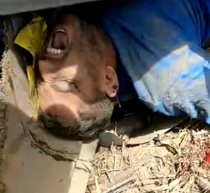 Dude Stuck and Armed Shredded 