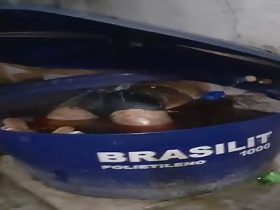 WOMEN'S INERT BODY IN TAMBO