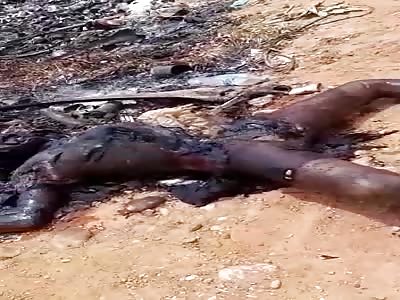 Well Done Cripsy BBQ