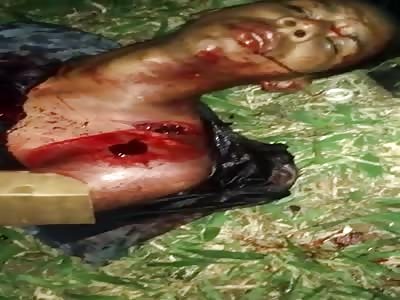 Down to the Bone on a Brazilian Road