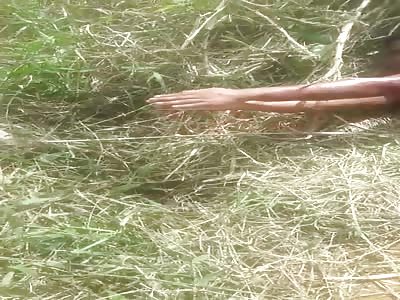 PUNISHMENT IN FAVELA 