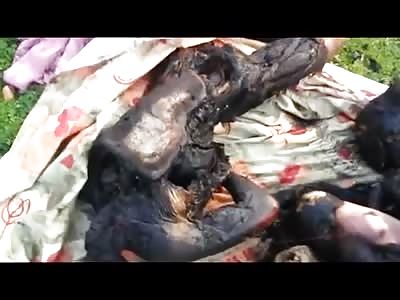 A Little Overcooked...BBQ