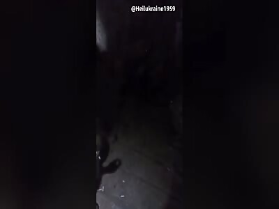  Translated version Ukrop Commander Kill own Guys