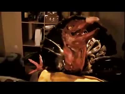 Happy Thanksgiving...