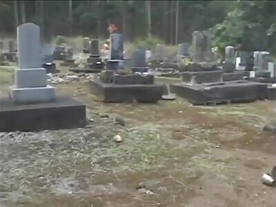 WTF: Alien caught peaking from behind a headstone 