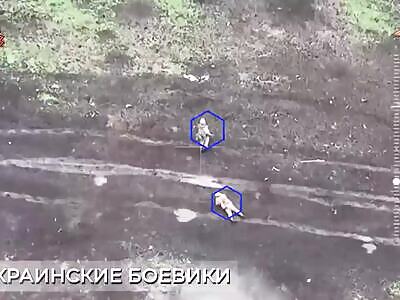 Russian drones attack Ukrainian infantry 