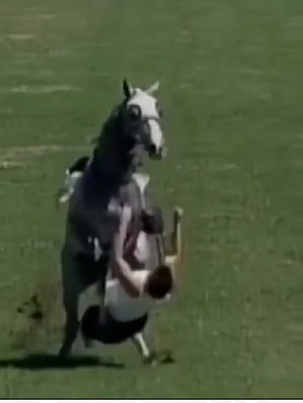 OUCH: Run Over by Horse