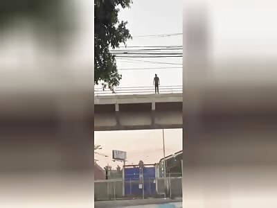 Suicidal man jumps to his death off railway line.