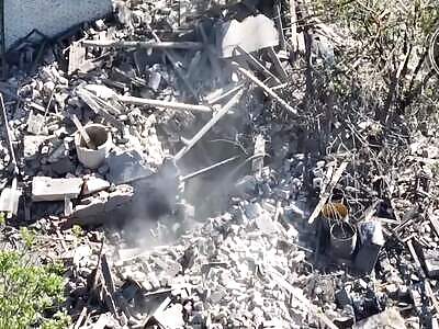 Dead Russians comp #31 (May 15, 2024)