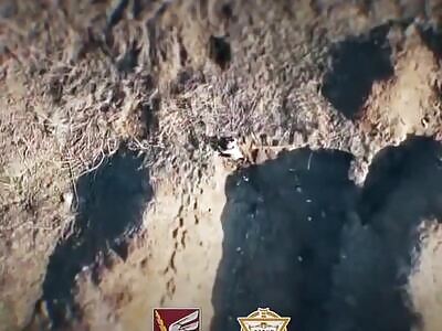 Perun Gains EXP Taking Out Ziggers