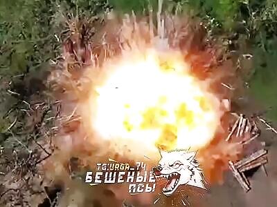 Russian drone evaporates Ukrainian.