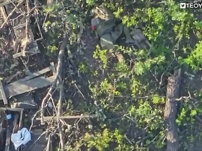 Blackened Russian Zombies Littering Ukrainian Forests