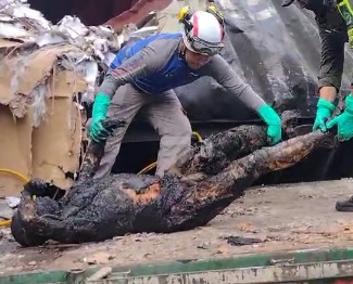 Horrific scene of removing burned dead body from crashed truck 