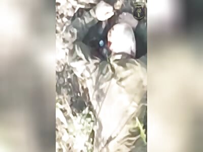 Your Daily Dose of Gory Orcs Getting Recked