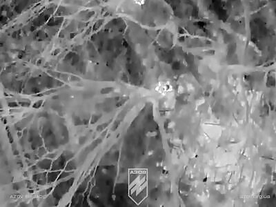 Azov drones exterminate Russians at night