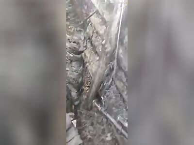 trench full of dead Ukrainians 