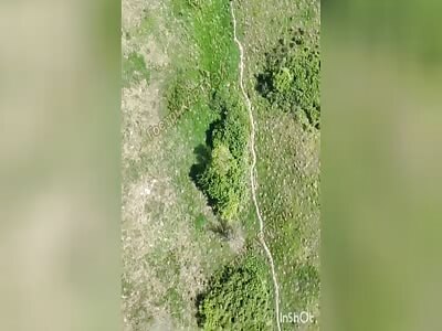 Triple kill with one grenade!