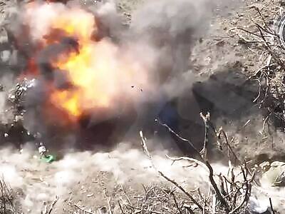 Zedophiles Versus Drones, Predictable Result