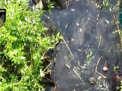 Found & Exterminated—Russian Goblins Spotted in Swamps