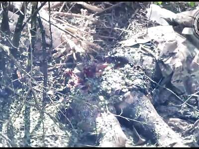 Ukraine Death Comp LXI