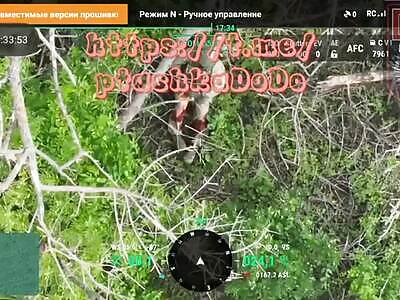 Dead Russians comp (June 13, 2024)