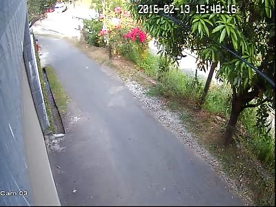 Three Wheeler Makes a Nosedive 