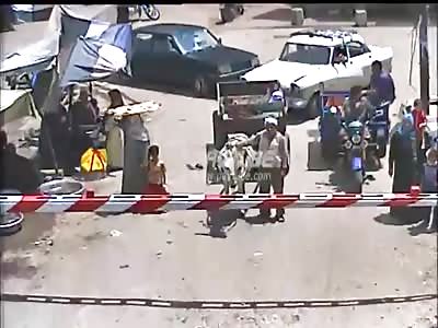 Poor Donkey Thought He Got the Green Signal to Go .. But ..