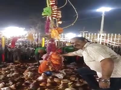 Coconut to the Head Accident