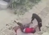 The dog brutally mauled an elderly Chinese woman