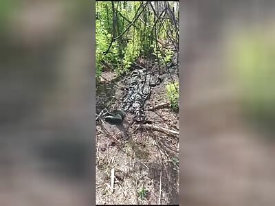 RU POV: dead russian bodies
