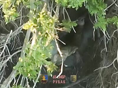 Despairing Orc Sings Goodbye in Kurt Cobains Mic