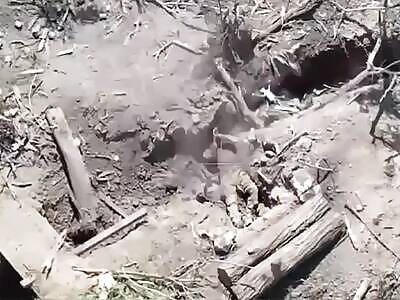 Ivan Fails to Deflect Up & Close Drone-Drop on Crotch