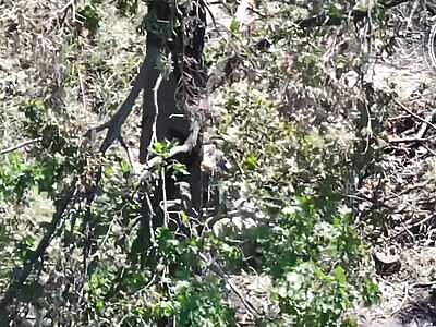 Russian army sends women to attack (FULL)