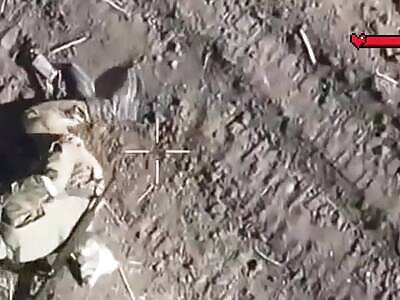 GAME OVER for the tenacious Russian worm