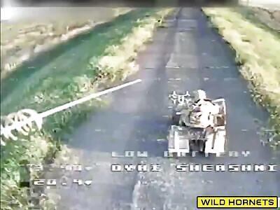 Zigger Joyride Cut Short