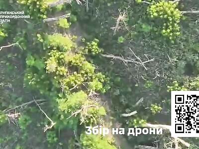 Fragged Zigger Receives Lithium Suprise